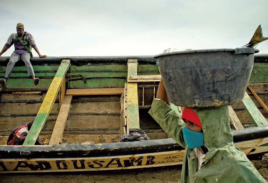 "Sardines/Mauritania" by Max Strong - COURTESY OF BLACK FLY COLLECTIVE
