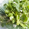 Farmers Market Kitchen: Spring Weeds Salad