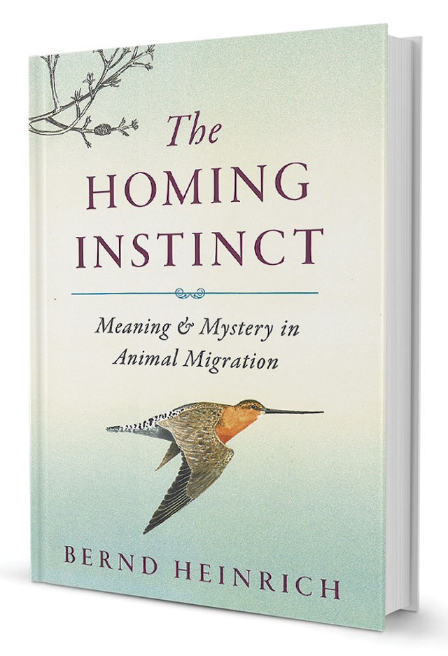 The Homing Instinct: Meaning &amp; Mystery in Animal Migration by Bernd Heinrich, Houghton Mifflin Harcourt, 368 pages. $27.