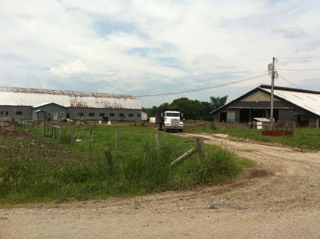 The Quesnels&#8217; dairy farm in Salisbury. Workers lived in the bunkhouse in the middle of the barn.