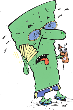 vermont.png
