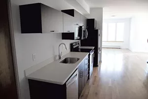 nest4-3.jpg
