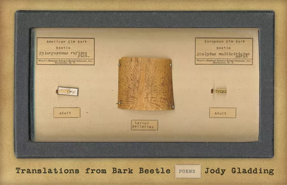 Translations From Bark Beetle: Poems by Jody Gladding, Milkweed Editions, 96 pages. $16.