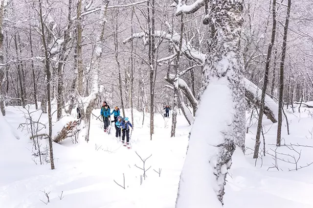 Uphill skiing - COURTESY OF CATAMOUNT TRAIL ASSOCIATION