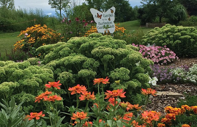 Butterfly Garden at Vermont Garden Park - COURTESY OF BUTTERFLY GARDEN