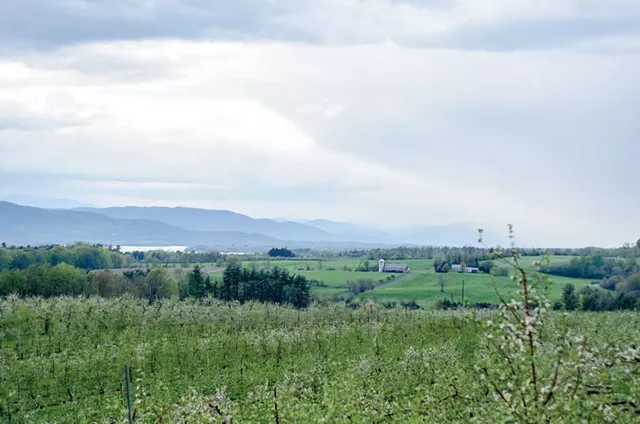 Champlain Orchards in Shoreham - COURTESY OF S.P. REID