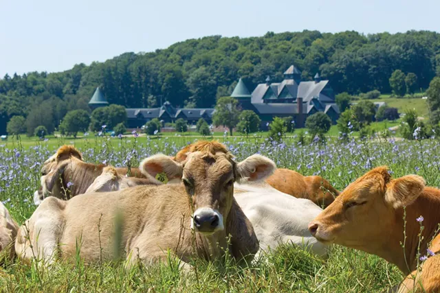 Shelburne Farms - COURTESY OF SARAH WEBB