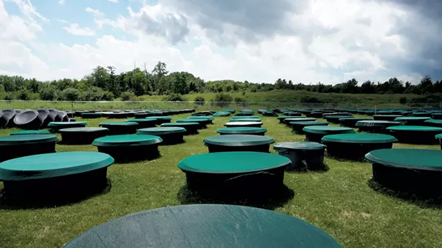 Outdoor tanks functioning as lake simulators - COURTESY OF MARY MARTIALAY