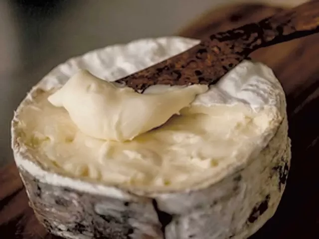 Jasper Hill Farm's Harbison cheese - COURTESY OF JASPER HILL FARM