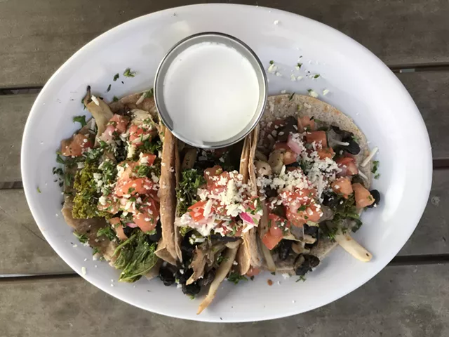 Mushroom tacos at Citizen Cider - SALLY POLLAK