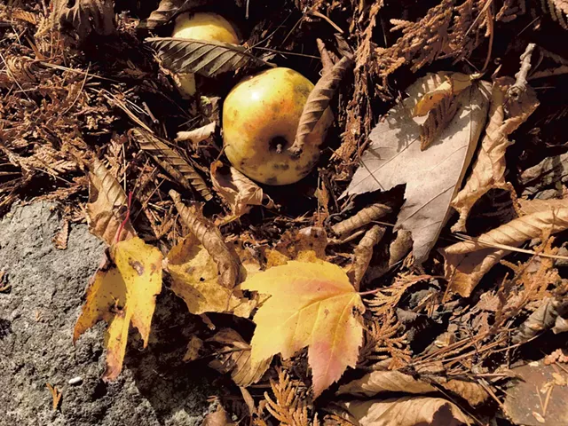 The Changing of the Seasons dinner - COURTESY OF SUZANNE PODHAIZER