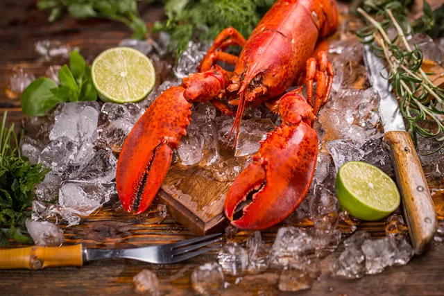 That lobster was high AF - GRAFVISION | DREAMSTIME.COM