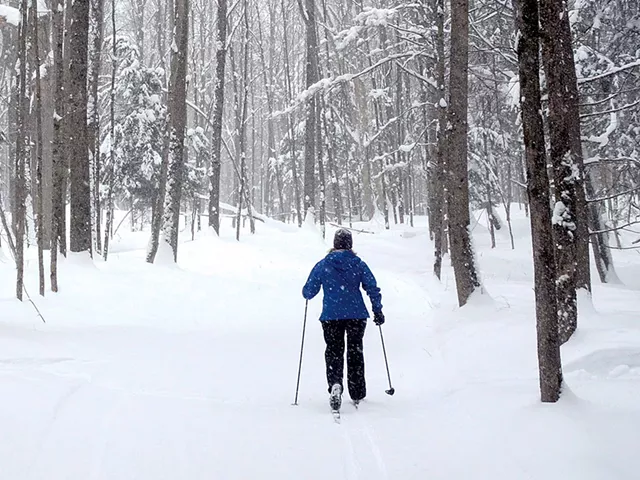 Cross-country skiing at Morse Farmfile: jeb wallace-brodeur