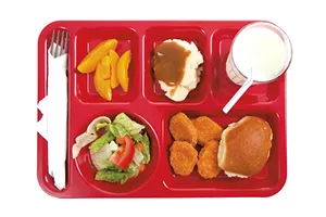 02-food-lunchtray.jpg