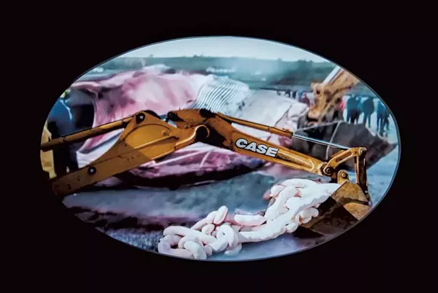 Video of "Skin Ego" - COURTESY OF SAM SIMON