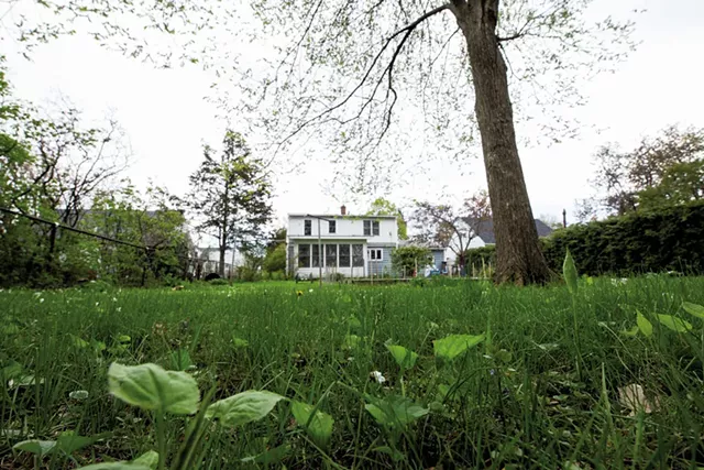 Lawn in need of TLC - LUKE AWTRY