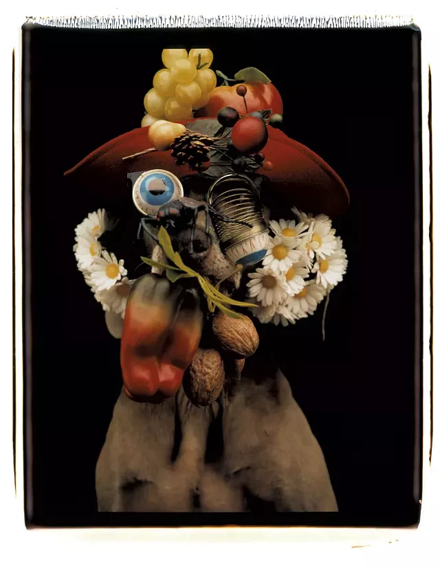 "Daisy Nut Ball" - COURTESY OF THE ARTIST AND SPERONE WESTWATER