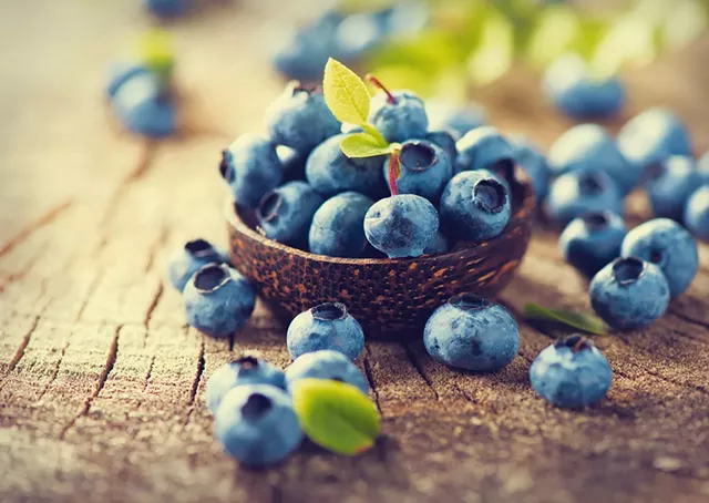 Vermont Blueberry Festival - © SUBBOTINA | DREAMSTIME.COM