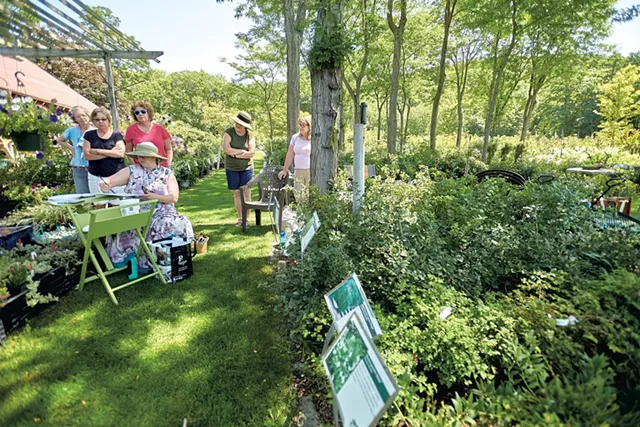 Ginny Joiner teaching a plein air watercolor painting workshop at Horsford Gardens and Nursery - BEAR CIERI