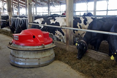 Lely Juno feed pusher - STACEY BRANDT