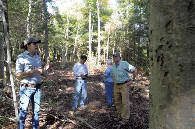 Addison Kasmarek (left) near a beech tree scored by bear claws - KEVIN MCCALLUM