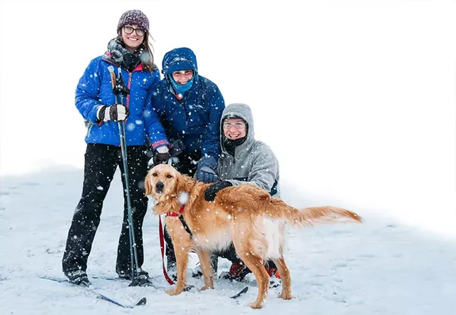 Family cross-country skiing at the Intervale - COURTESY OF THE INTERVALE CENTER