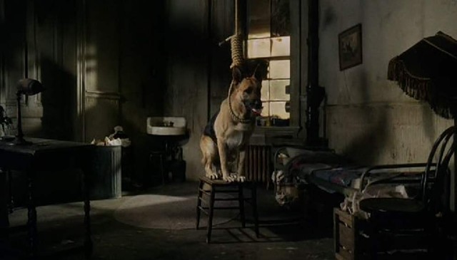 Look, a suicidal dog! This ghoulish image is about as funny as Won Ton Ton gets. - PARAMOUNT PICTURES