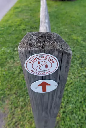 Exploring the Burlington Wildways - COURTESY OF ZOE RICHARDS