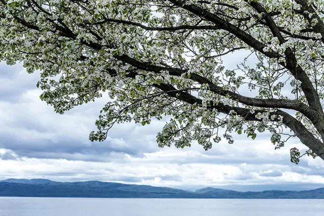 Lake Champlain - LUKE AWTRY