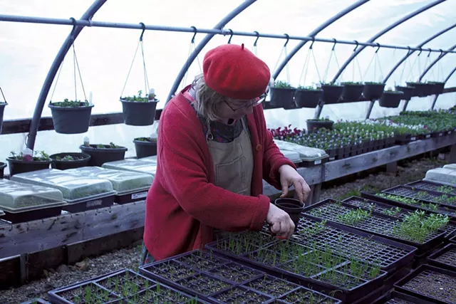 Heidi Racht tending seedlings at Pleasant Mount Farm - COURTESY OF PLEASANT MOUNT FARM