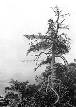 "Acadian Mist" - GABRIEL TEMPESTA