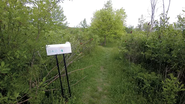 The "Dad mailbox" in Geprags Community Park - JORDAN ADAMS