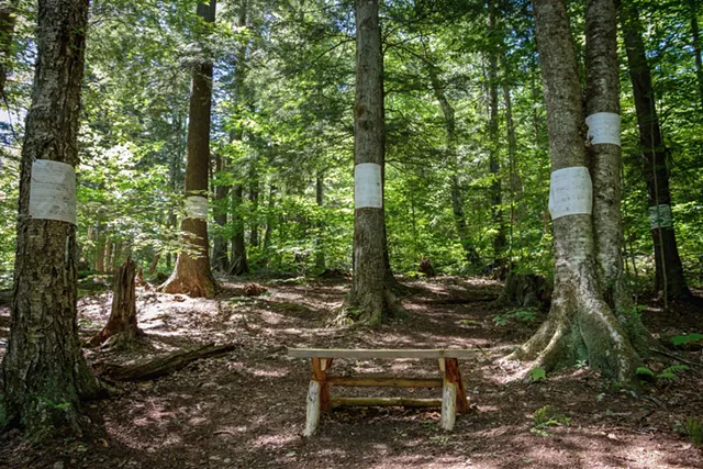 Beethoven Walks installation - ZACHARY STEPHENS