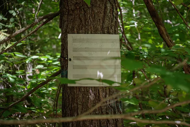 Beethoven Walks installation detail - ZACHARY STEPHENS