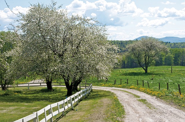 Country road winding through an old apple orchard - &copy; ERIKAMIT | DREAMSTIME.COM