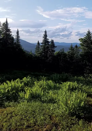 View from a hike on Jay Peak - COURTESY OF HANNAH VICKERY