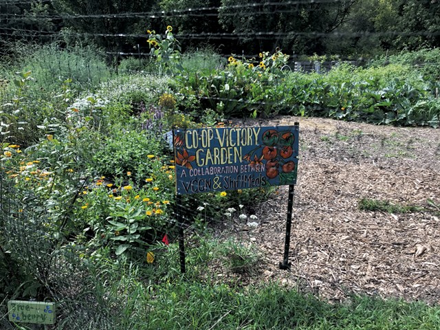A GrowTeam garden at the Intervale in Burlington - SALLY POLLAK
