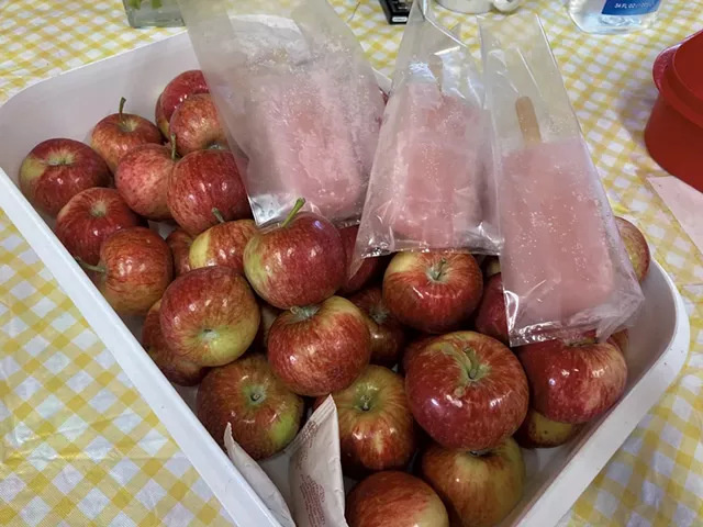 Apples and apple cider bars at Sweet Seasons Farm & Artisan Confections - MARGARET GRAYSON ©️ SEVEN DAYS