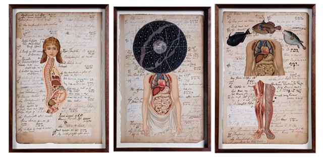 From left to right: "Baby," "Universe" and "Fish" from "Professor Wolfson's Notebooks" by Peter Thomashow - COURTESY OF PETER THOMASHOW