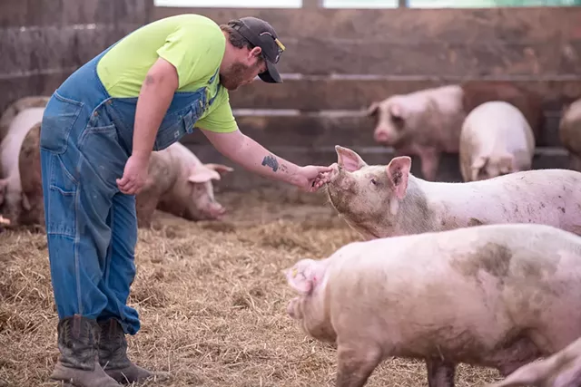 Pig farmer Ethan Gevry in Addison - CALEB KENNA