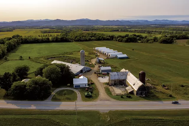Ethan Gevry's pig farm in Addison - CALEB KENNA