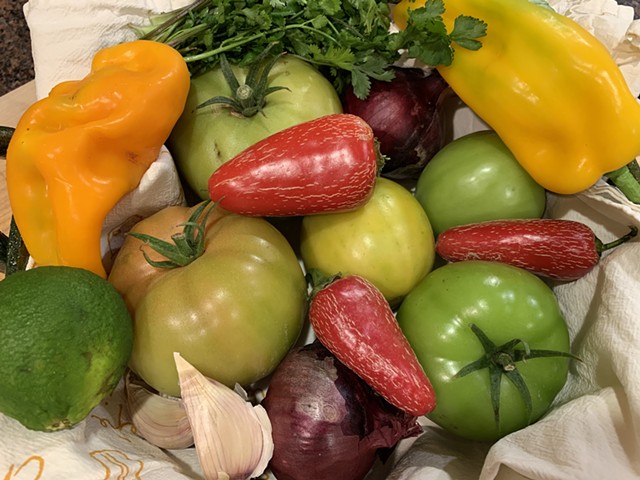 Ingredients for green tomato salsa - MELISSA PASANEN ©️ SEVEN DAYS