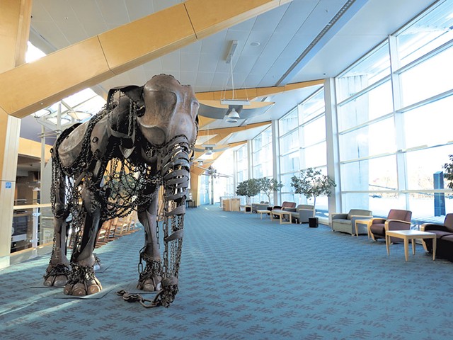 Elephant sculpture by Vermont artist Eben Markowski - MATTHEW THORSEN