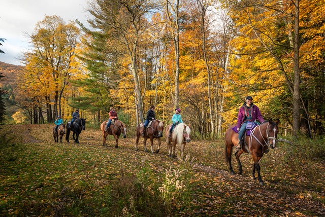 Horseback rides through the seasons with Lajoie Stables - BRIAN DEWYEA