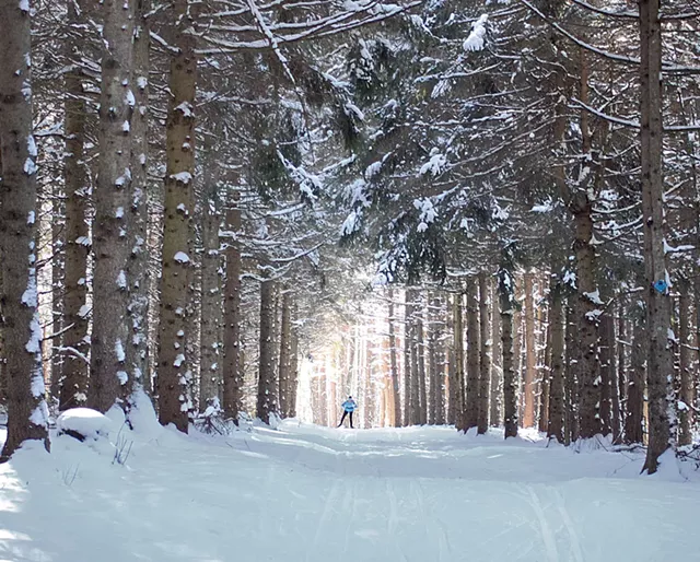 Cross-country skiing at Rikert Nordic Center - COURTESY OF ANNE MAJUSIAK