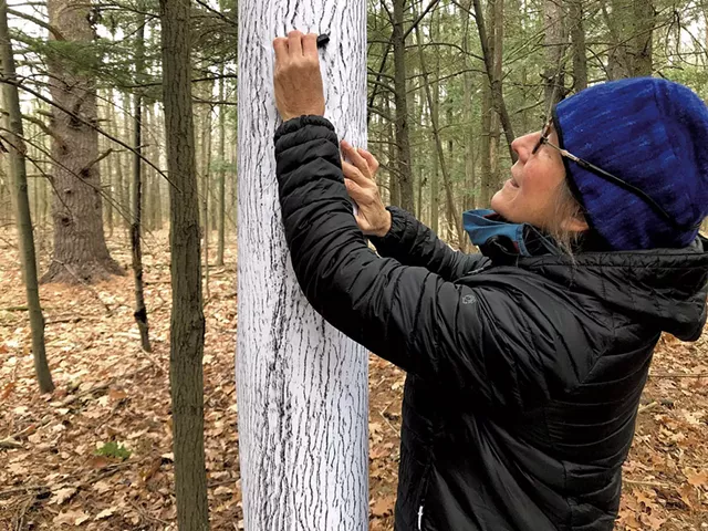 Elizabeth Billings doing a tree rubbing at the LaPlatte River Marsh Natural Area - COURTESY OF ELIZABETH BILLINGS