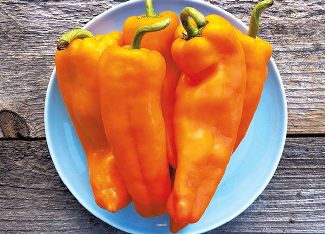 Lively Italian sweet peppers