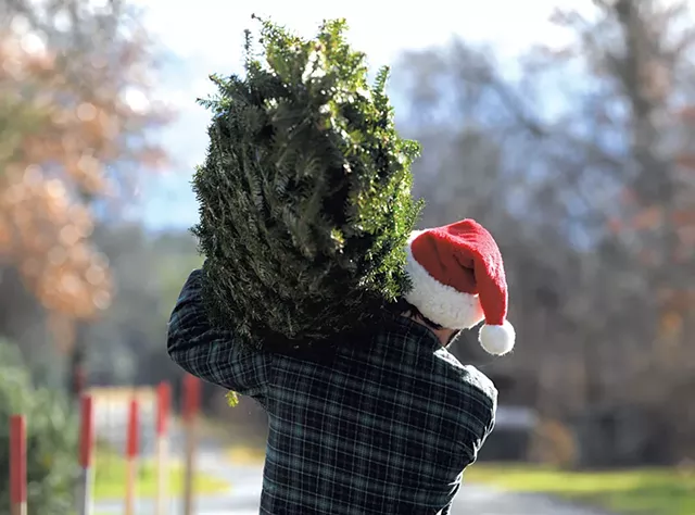 Will Werner at Werner Tree Farm - COURTESY OF DAVID SEAVER
