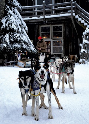 Sled dogs - COURTESY OF UMIAK OUTDOOR OUTFITTERS