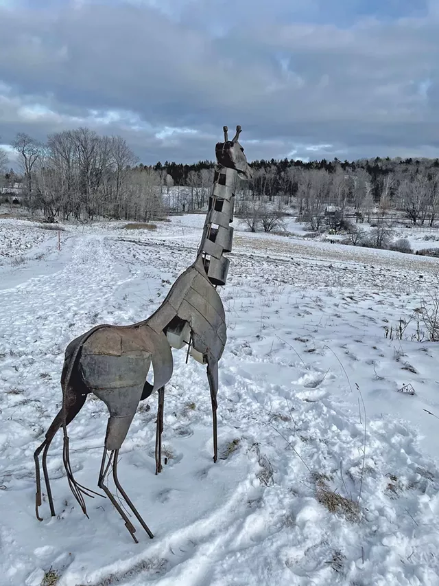 "Giraffe" by Harlan Mack - COURTESY OF AMY LILLY
